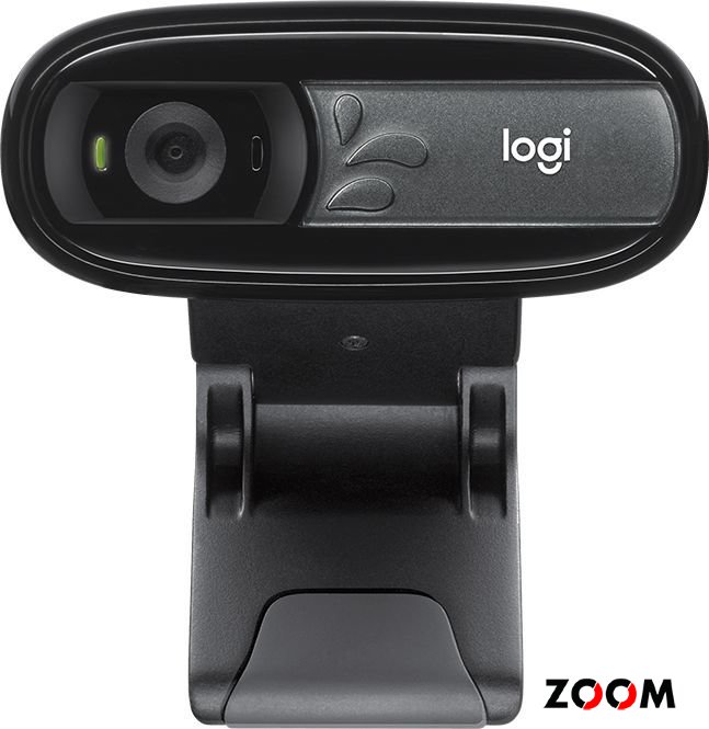Веб/к Logitech Webcam C170 NEW (8/288)